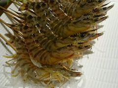 -官也街澳门火锅(新源里店)