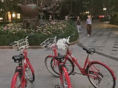 -湖畔居茶楼(湖滨店)