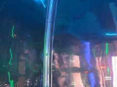 -外滩8号 whisky bar(金延大厦店)