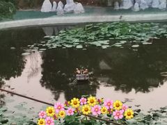 -郑州方特梦幻王国