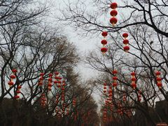 -天坛公园