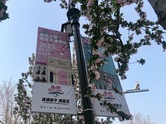 -天津五大道文化旅游区