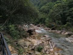 -增城大丰门漂流