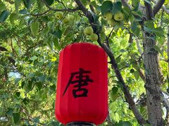 -华清宫景区