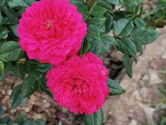 -人民公园(罗湖区)