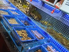自助取餐区-必点海鲜·鲅鱼水饺(鞍山西道店)