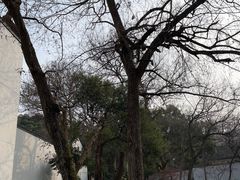 -河坊街景区