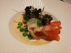 -蝶舍·MAISON PAPILLON