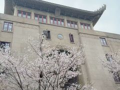 -武汉大学-樱园