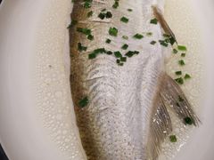 清蒸白鱼-二十八里太湖船菜(吉祥路店)