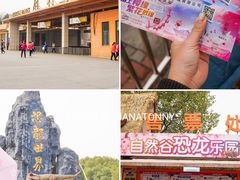 -顾村公园