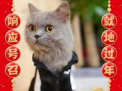 -Vamos巴猫司健身中心(五角场店)