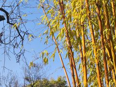 -黑龙潭公园