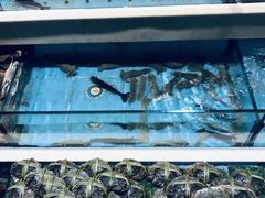 -宜宾海鲜酒家·三十年老字号