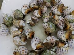 白灼花螺-明记海鲜大排档(巽寮湾店)