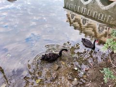 -茵特拉根酒店·西餐厅