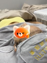 -禾丽康美医疗美容医院