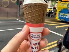 -富豪雪糕车流动点(尖沙咀)