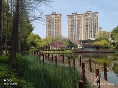 -陈家山荷花公园