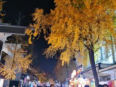 -奇芳阁·百年清真南京菜(夫子庙店)