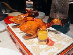 -大鸽饭(动物园店)