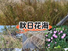 -海珠湖公园