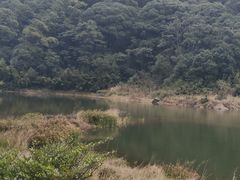 -广州市石门国家森林公园