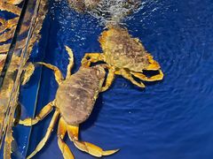 -三亚火车头万人海鲜广场