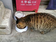 -万松老人塔