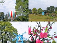 -铁山坪森林公园