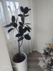 -HEYAN荷妍专业脱毛连锁机构