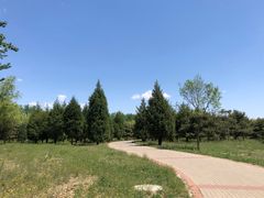 -东郊湿地公园