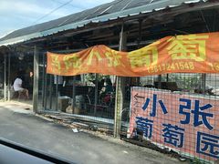 -马陆小张葡萄园农家乐