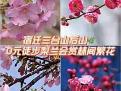 -江苏三台山国家森林公园