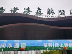 -黄海国家森林公园