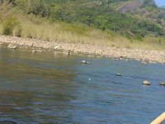 -九曲溪竹筏码头