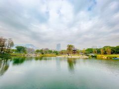 -四海公园(南山区)