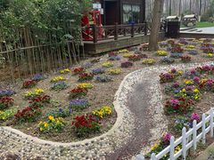 -合肥滨湖国家森林公园