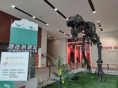 -珠海市博物馆
