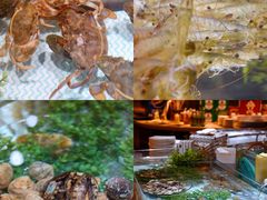 -上海神旺大酒店