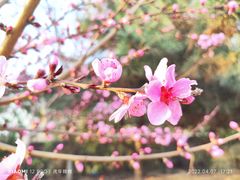 -青龙湖公园