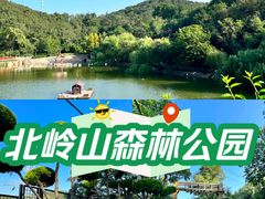 -北岭山森林公园