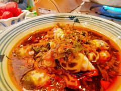 -禄婶鸡煲·打边炉