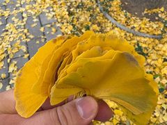 -玲珑塔公园