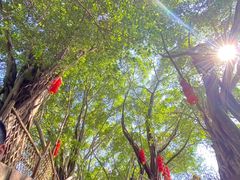 -丰都鬼城名山景区