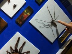 -上海昆虫博物馆