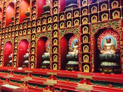 -新加坡佛牙寺龙华院