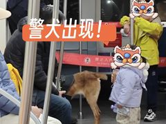 -积水潭(地铁站)