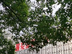 -莲花国际广场