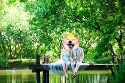 -雪中彩影婚纱摄影·微光艺术中心